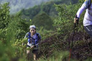 BIB: 
                            <button type="button" onclick="openModal(24763620)" class="btn btn-primary btn-sm float-right btn-popup" data-toggle="modal" data-target=".modal-high-quality">
                        <i class="fas fa-shopping-cart"></i> Add to Cart
                    </button>
                                            <button type="button" onclick="isThisMe(24763620, true)" class="btn btn-success btn-sm float-right btn-popup btn-isme hidden" data-toggle="tooltip" data-placement="bottom" title="นี่คือรูปของคุณใช่ไหม คลิกที่นี่เพื่อเอาเข้าอัลบั้ม">
                        <i class="fas fa-plus"></i> Add to album
                    </button>
                    <button type="button" onclick="isThisMe(24763620, false)" class="btn btn-warning btn-sm float-right btn-popup btn-isnotme hidden">
                        <i class="fas fa-ban"></i> Remove from album
                    </button>